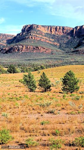 Flinders Ranges NP, SA. 